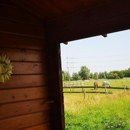 Ruime Romantische Blokhut Zwaanshoek Kültér fotó